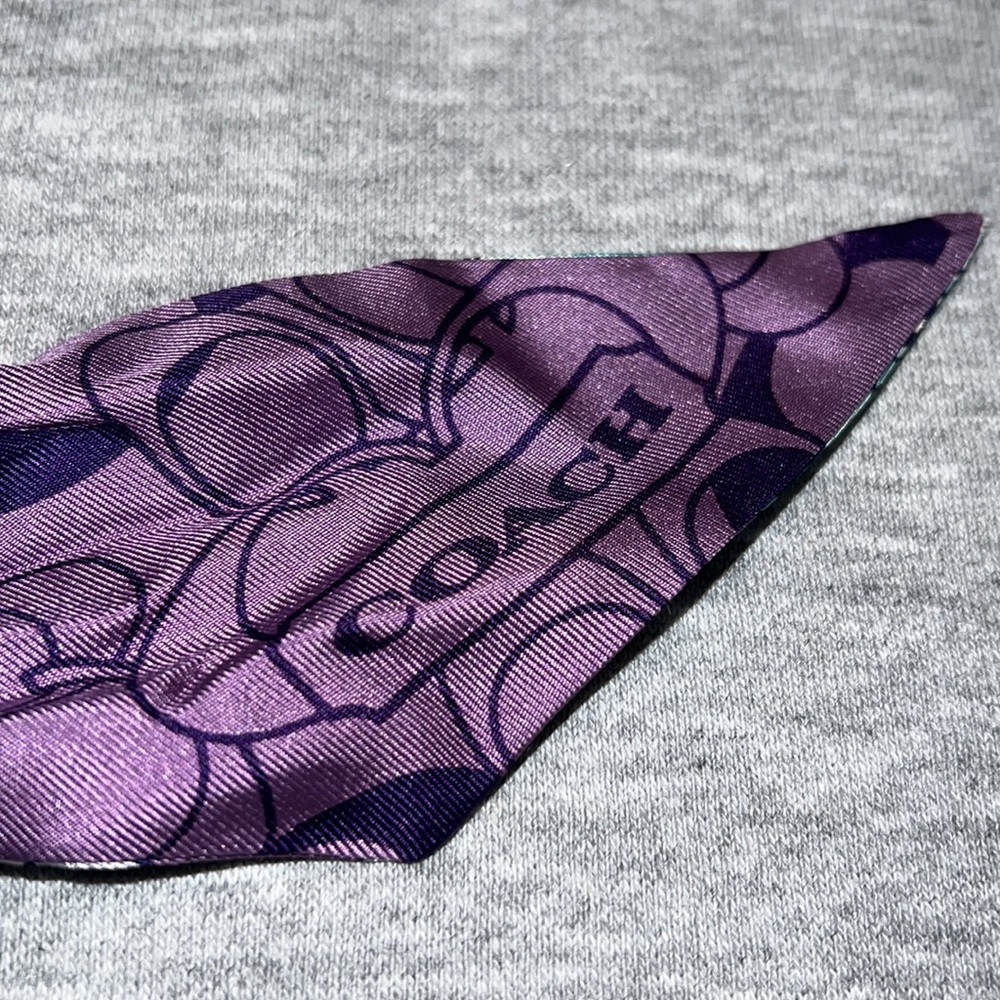 Vintage Coach Reversible 100% Silk Headband, Bag Tie, Ponytail Tie *RARE Color* - Picture 3 of 4